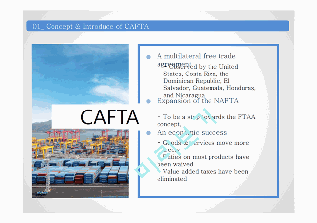 CAFTA(Central American Free Trade Agenda) 영문분석   (3 )